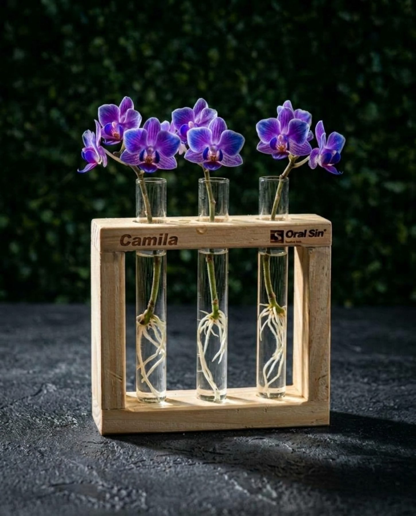 Jardim Raizes - Trio Afeto