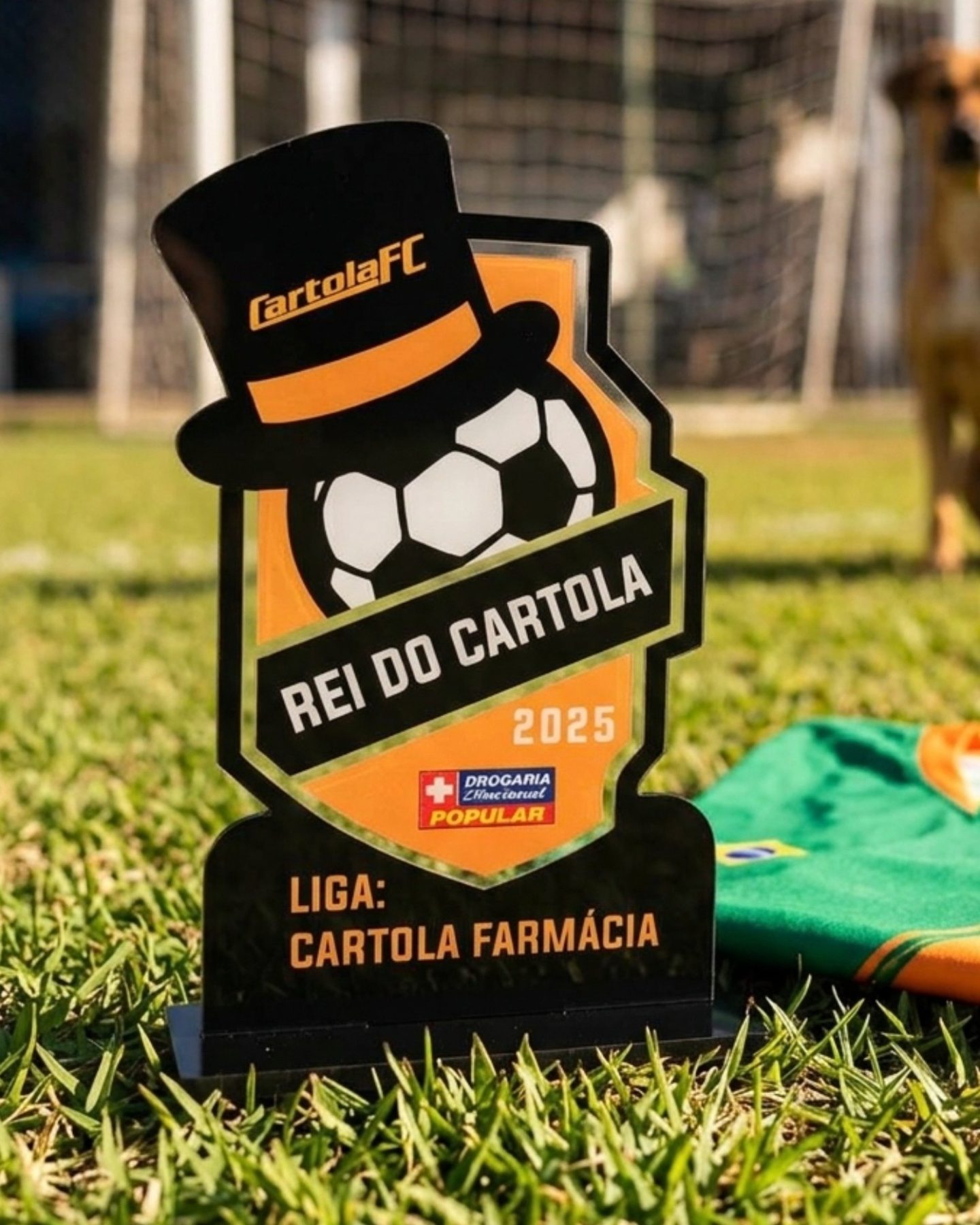 Troféu Acrílico 1 Camada